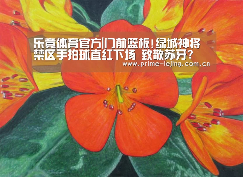 乐竟体育官方|门前篮板!绿城神将禁区手拍球直红下场 致敬苏牙?(图3) 乐竟app