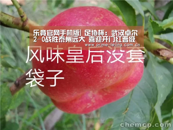 乐竟体育官方