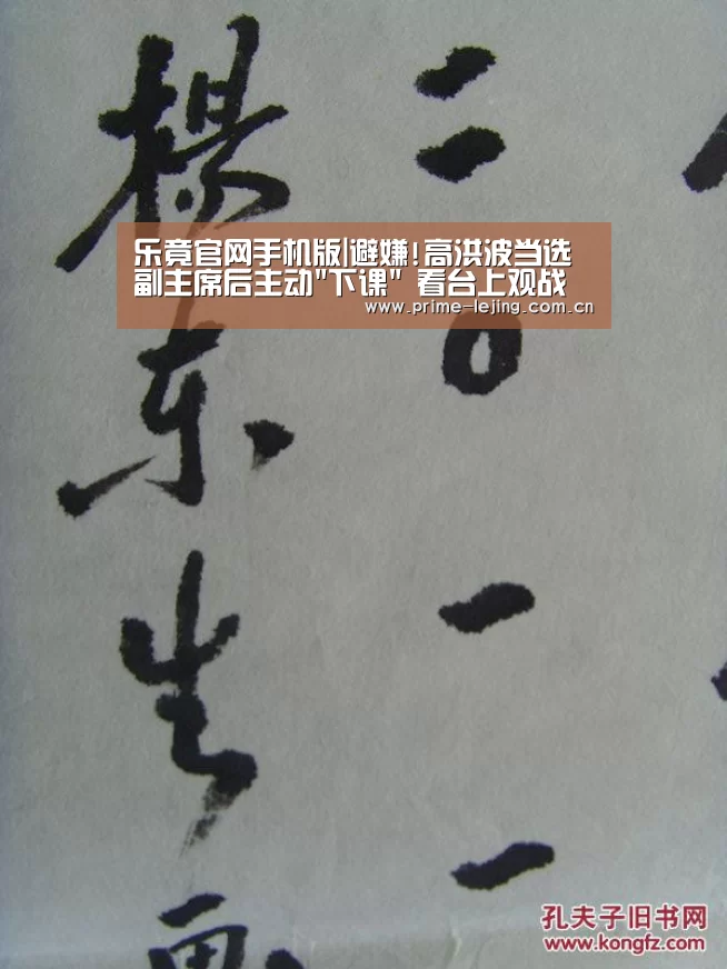 乐竟官网手机版|避嫌!高洪波当选副主席后主动下课 看台上观战(图1) 乐竟官网入口