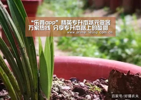 “乐竟app”精英专升本状元做客万家热线 分享专升本路上的酸甜苦辣(图1) 乐竟官网手机版