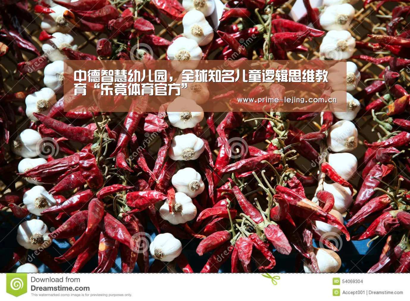 中德智慧幼儿园,全球知名儿童逻辑思维教育“乐竟体育官方”(图1) 乐竟app