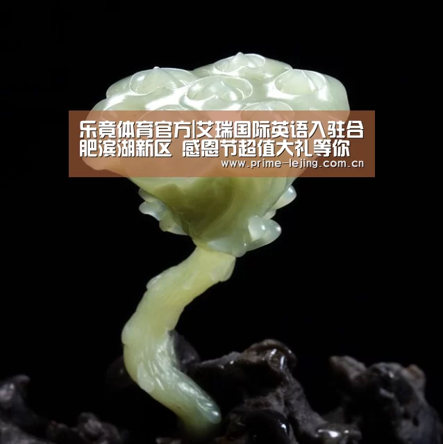 乐竟体育官方|艾瑞国际英语入驻合肥滨湖新区 感恩节超值大礼等你来(图)(图1) 乐竟体育官方