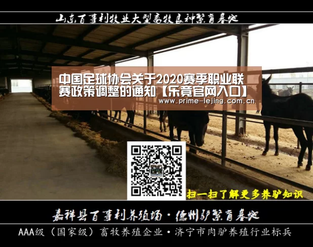 乐竟体育官方