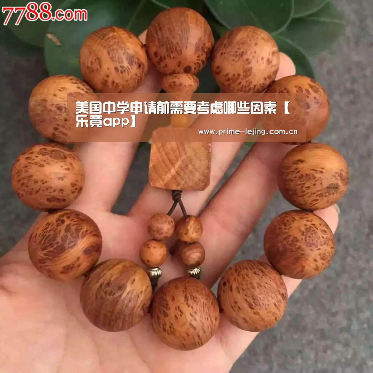 乐竟体育官方