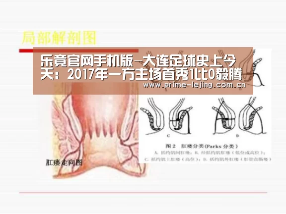 乐竟官网手机版-大连足球史上今天:2017年一方主场首秀1比0毅腾,中甲开局3连胜(图2) 乐竟官网入口